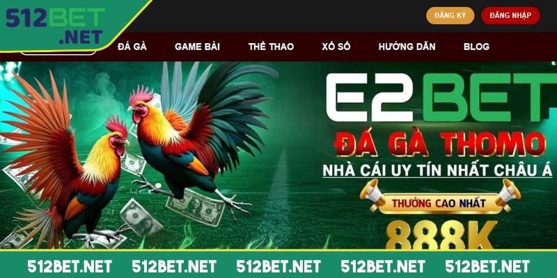 Đá gà E2BET hiện nay là tâm điểm không thể thiếu